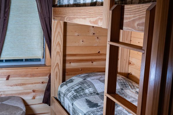 Deluxe Cabins - Cahill