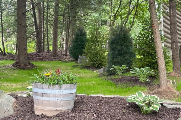 Roscoe-Mountain-Pool-Trout-Loft-photo-2