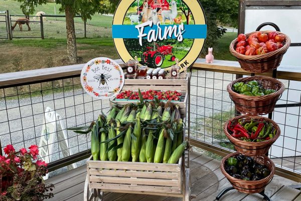 Roscoe-TroutTownFarms-WhatWeAreGrowing-11-farmersmarket Roscoe-TroutTownFarms-WhatWeAreGrowing-11-farmersmarket